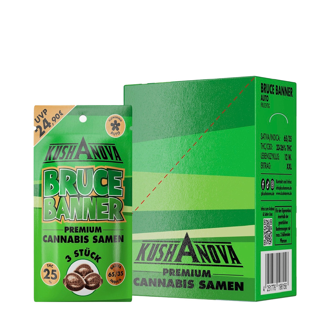 Kushanova Cannabissamen Bruce Banner