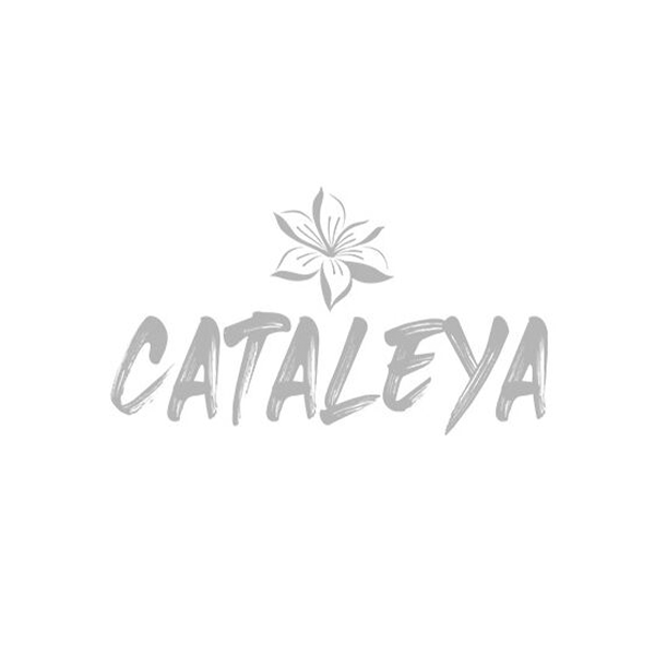 Cataleya Cataleya