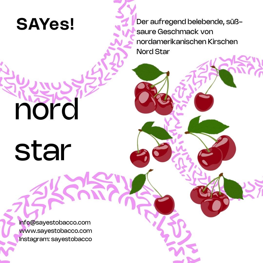 SAYes! Shisha Tabak - Nord Star 200g