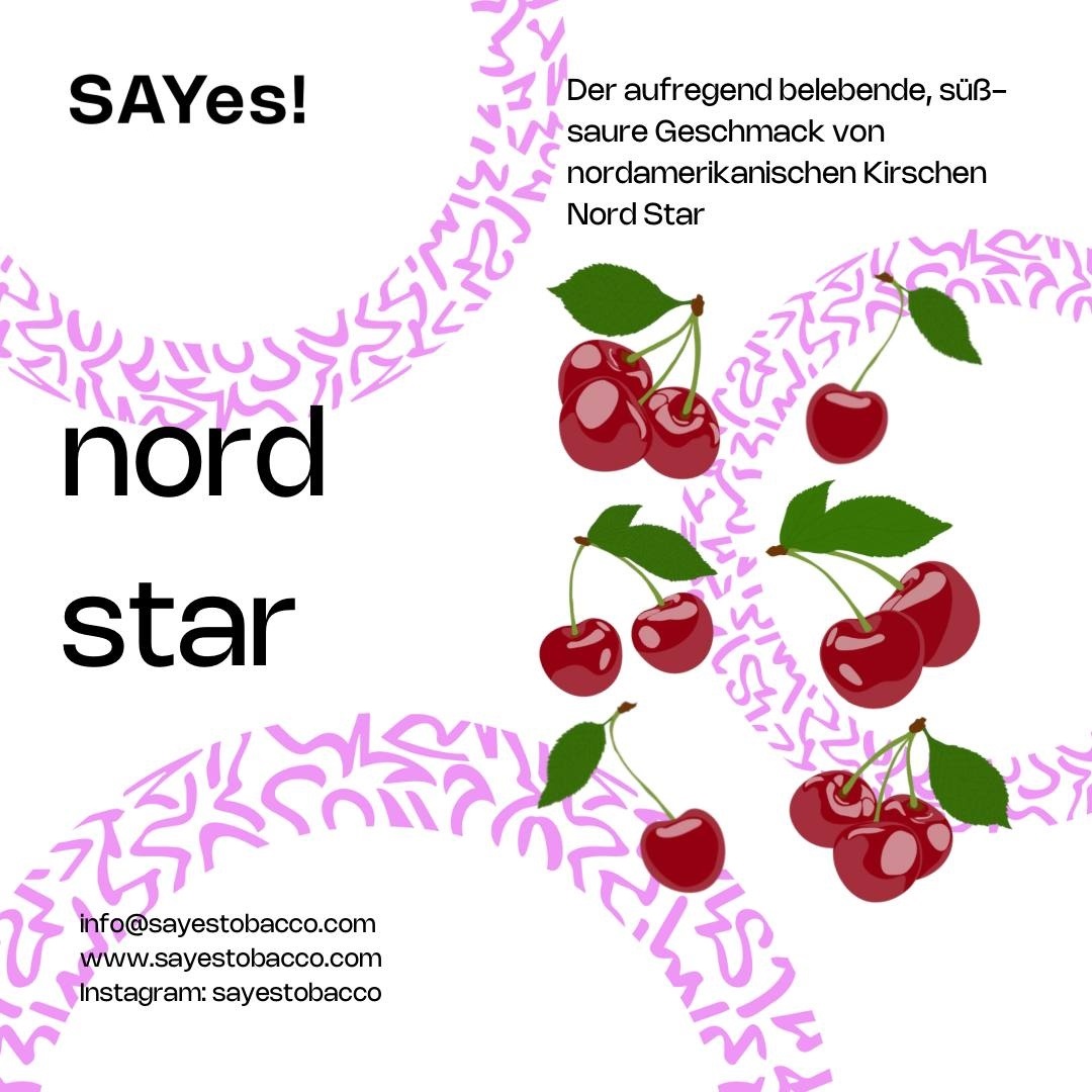 SAYes! Shisha Tabak Nord Star 200g SAYes! Shisha Tabak Nord Star 200g