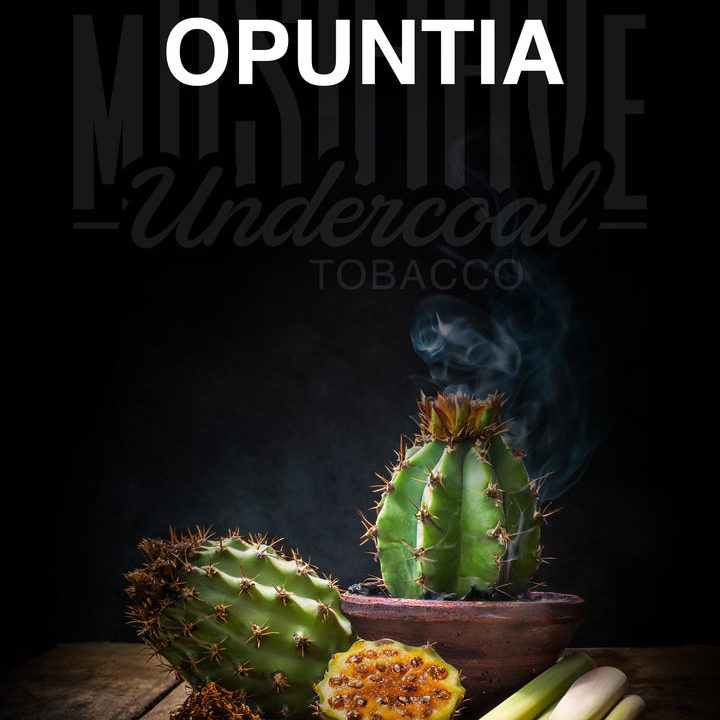 Musthave Dry Base Pfeifentabak - Opuntia 70g