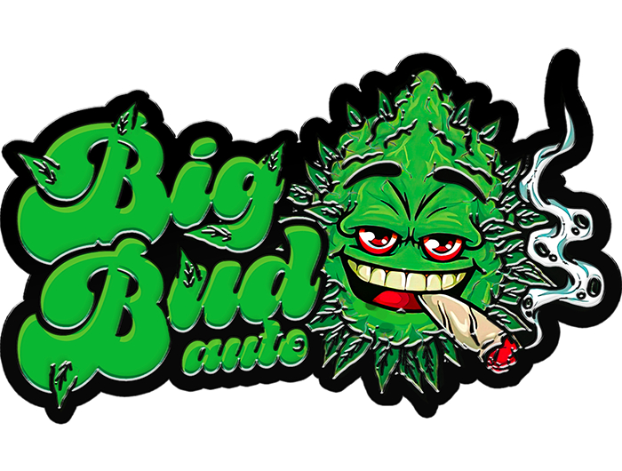 420 Fast Buds Cannabissamen Big Bud Automatic 420 Fast Buds Cannabissamen Big Bud Automatic