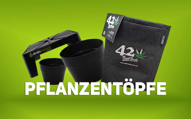 banner_kategorie_tpfe