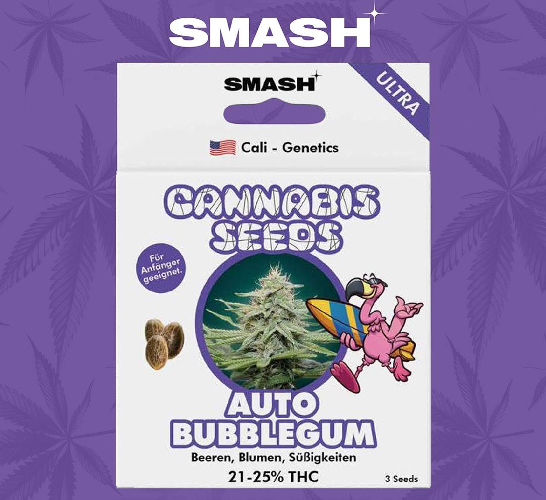 Smash Cannabissamen Auto Bubblegum Smash Cannabissamen Auto Bubblegum