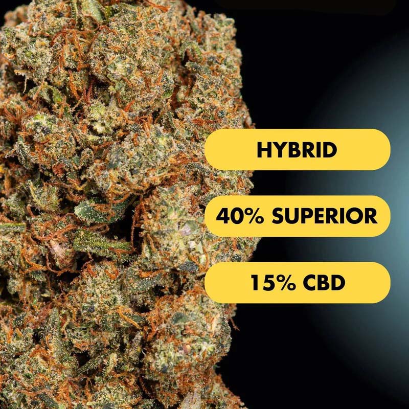 Only Grams Superior Blend Blüte Fruit Storm