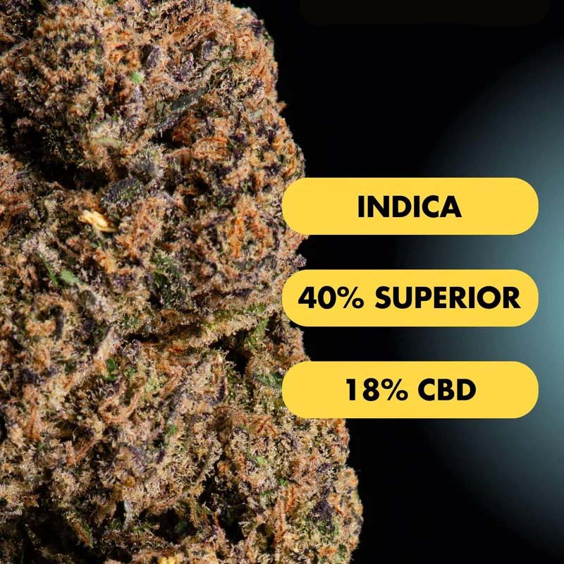 Only Grams Superior Blend Blüte Purple Fuel
