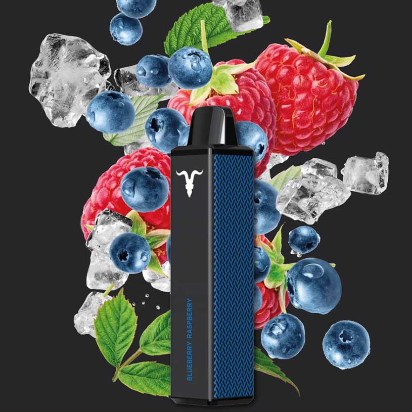 Ignite V600 - Vape Einweg E-Zigarette  - Blueberry Raspberry 2% Nikotin