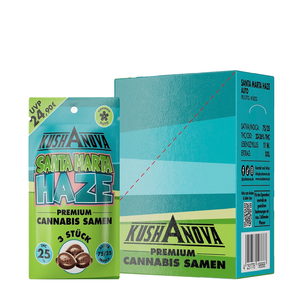 Kushanova Cannabissamen Santa Marta Haze Kushanova Cannabissamen Santa Marta Haze