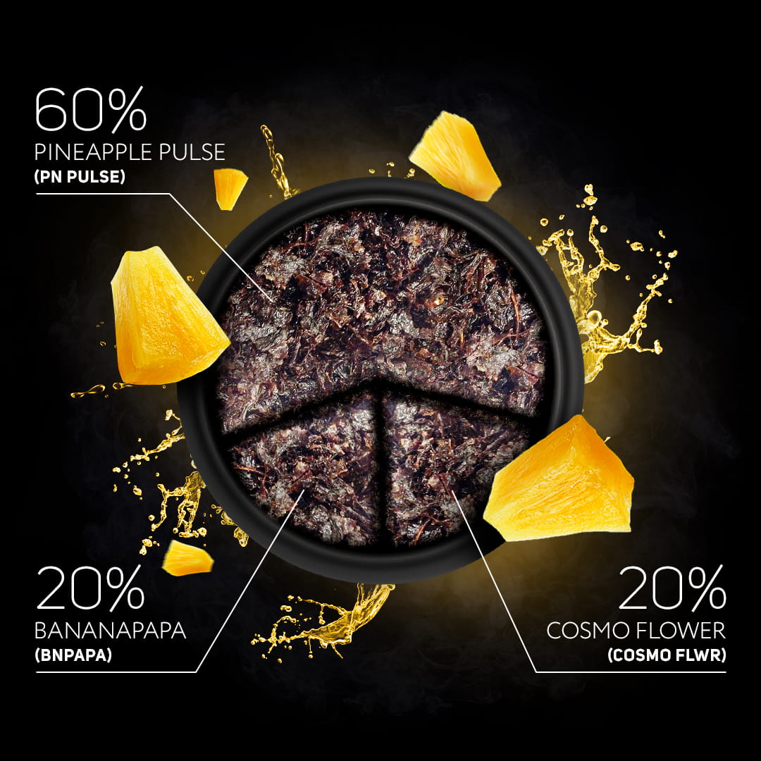 darkside-shisha-tabak-pineapple-pulse-mix-1 Darkside Shisha Tabak - Pineapple Pulse Mix 1