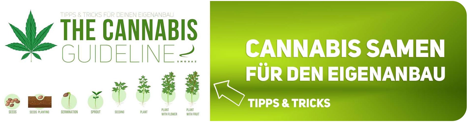 Cannabissamen für den Eigenanbau Cannabissamen für den Eigenanbau