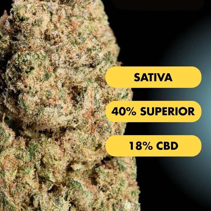 Only Grams Superior Blend Blüte Frosty