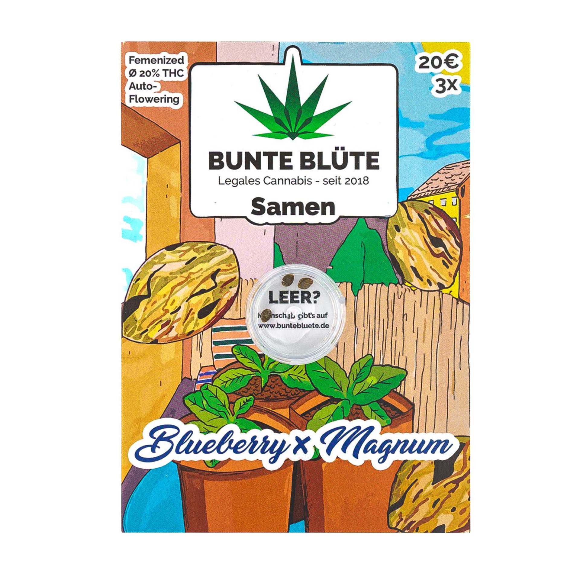 Bunte Blüte Cannabissamen - Blueberry x Magnum