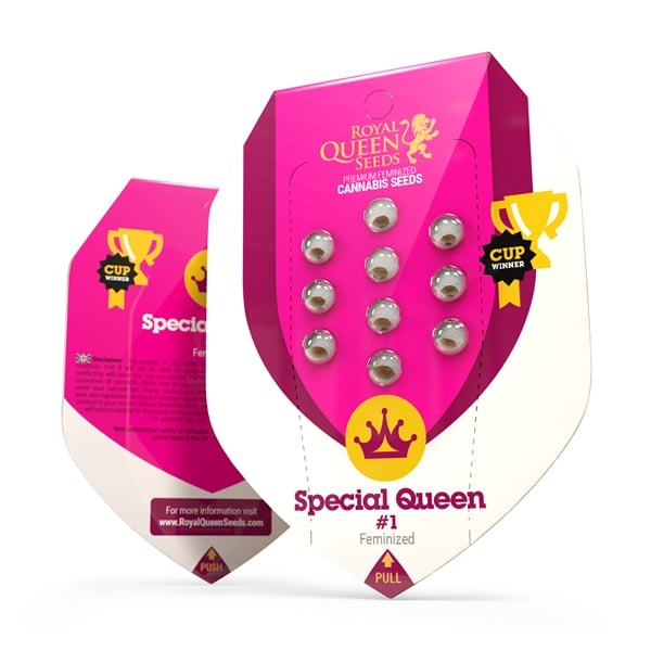 Royal Queen Seeds Cannabissamen - Special Queen #1 Premium Feminized