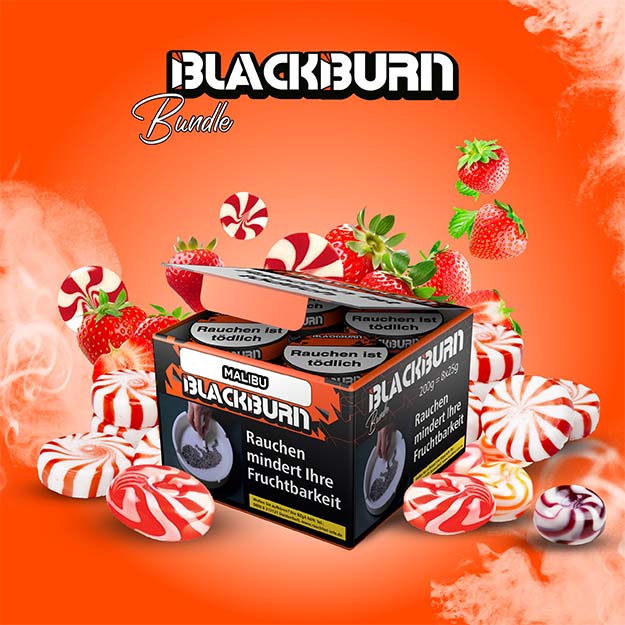 Blackburn Shisha Tabak Malibu 200g Bundle