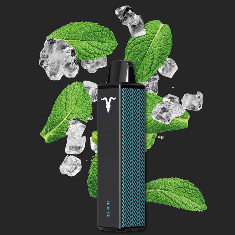 Ignite V600 - Vape Einweg E-Zigarette  - Icy Mint 2% Nikotin