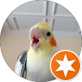 user_profile