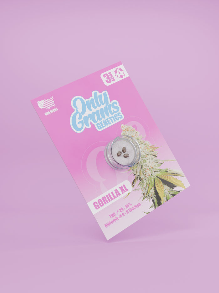 Only Grams Cannabissamen Gorilla XL Only Grams Cannabissamen Gorilla XL