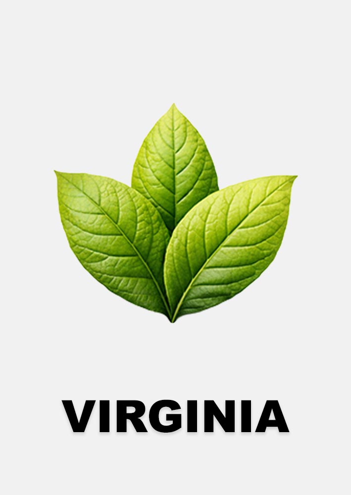 button_virginiatabak button_virginiatabak