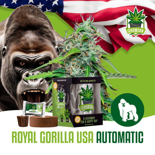 iGrowCan Samenset - Royal Gorilla USA Automatik