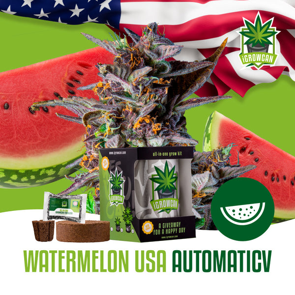 iGrowCan Samenset - Watermelon Automatik