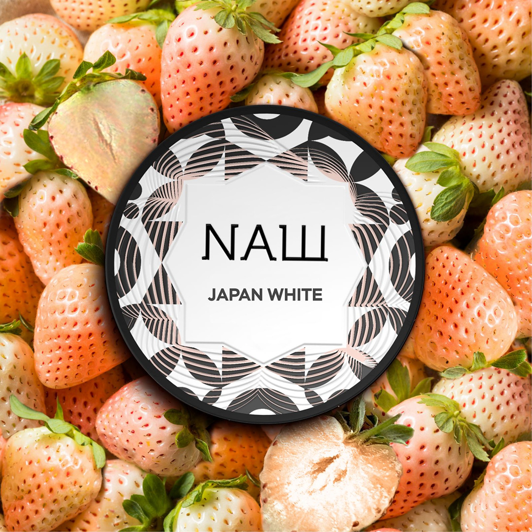 Nash Shisha Tabak Japan White 200g