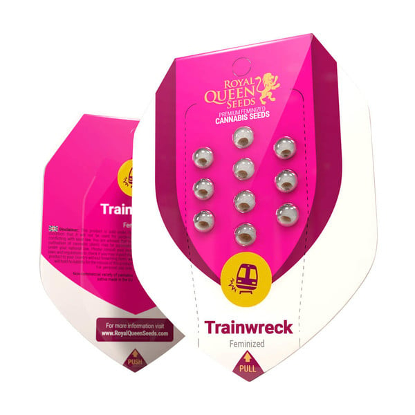 Royal Queen Seeds Cannabissamen Trainwreck Femenized Royal Queen Seeds Cannabissamen Trainwreck Femenized