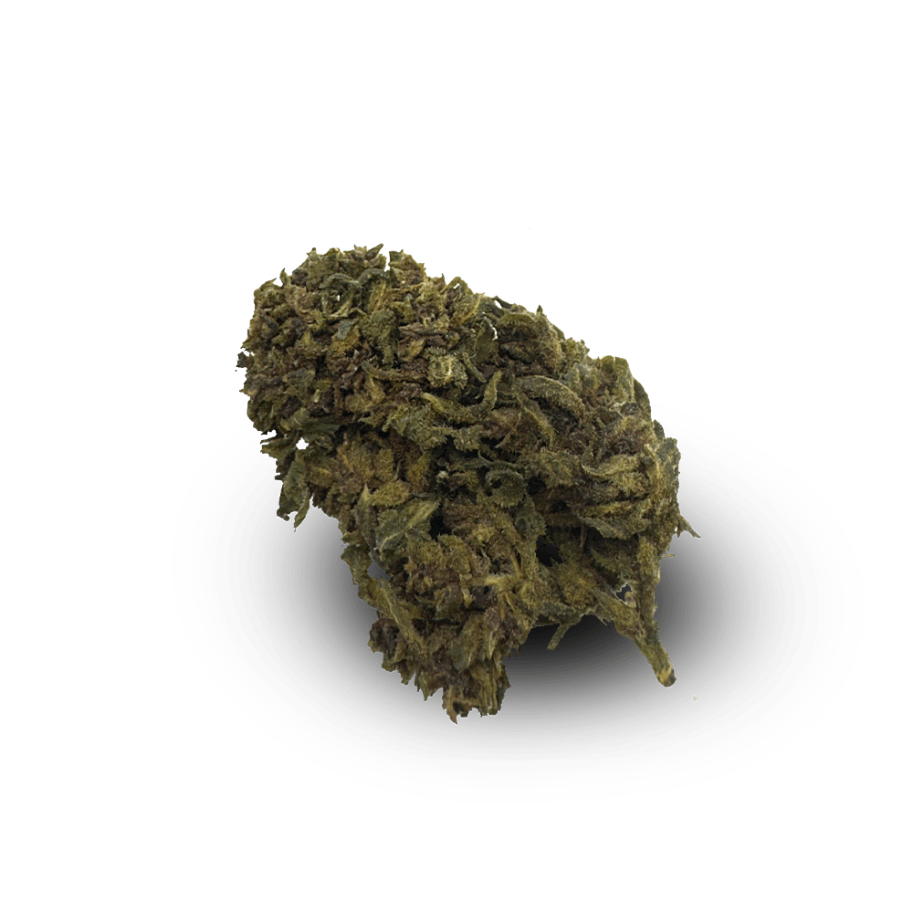 I Love Pot CBH Blüte - Blueberry 33% 1g