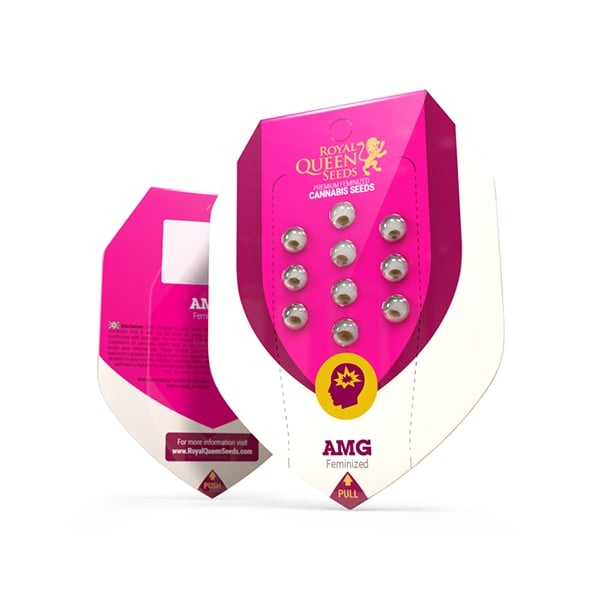 Royal Queen Seeds AMG Amnesia Mac Ganja Femenized Royal Queen Seeds AMG Amnesia Mac Ganja Femenized