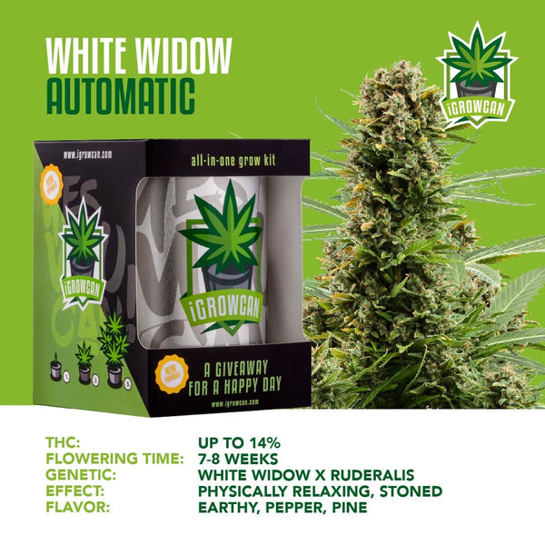Igrowcan Samenset White Widow Automatic Igrowcan Samenset White Widow Automatic