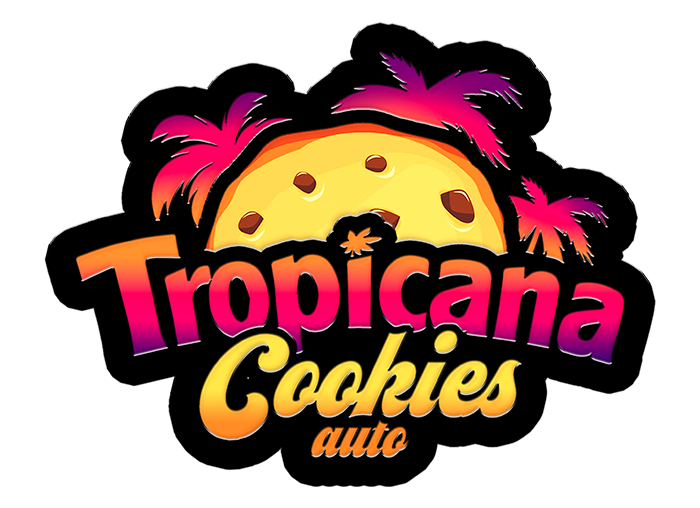 420 Fast Buds Cannabissamen Tropicana Cookies Automatic 420 Fast Buds Cannabissamen Tropicana Cookies Automatic