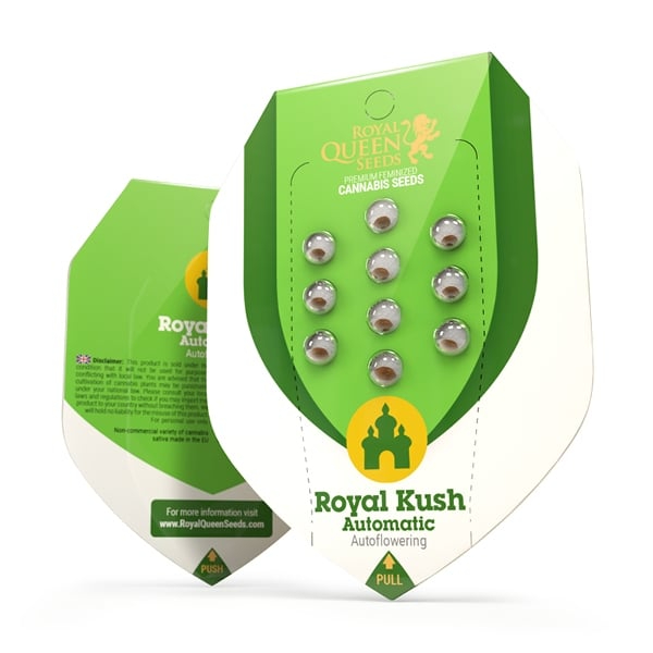 Royal Queen Seeds Cannabissamen - Royal Kush USA Premium Automatic