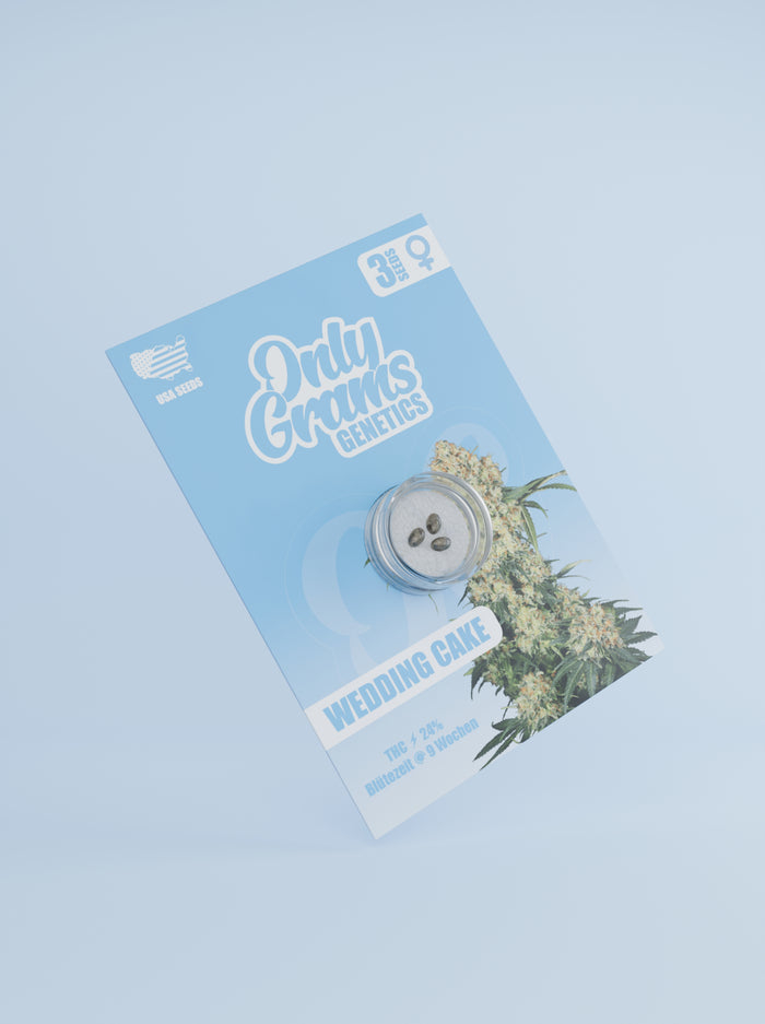 Only Grams Cannabissamen Wedding Cake Only Grams Cannabissamen Wedding Cake