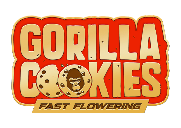 420 Fast Buds Cannabissamen Gorilla Cookies Fast Flowering 420 Fast Buds Cannabissamen Gorilla Cookies Fast Flowering
