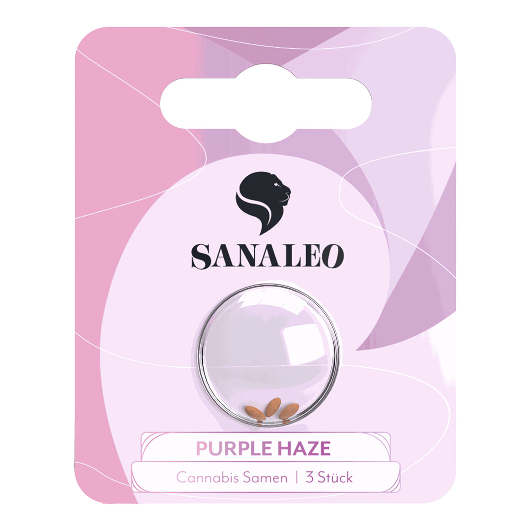Sanaleo Cannabissamen Purple Haze