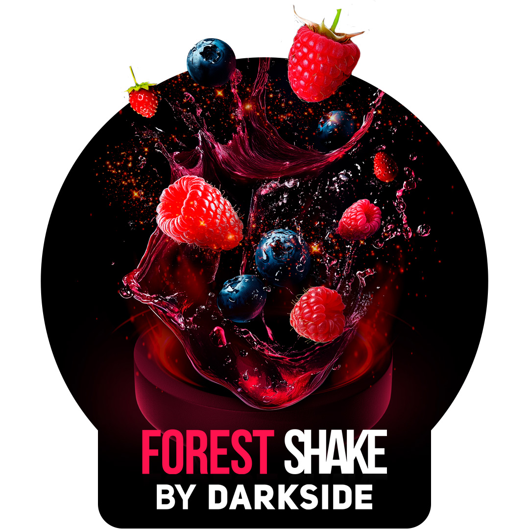 Darkside Shisha Tabak Forest Shake 120g