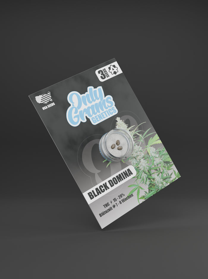 Only Grams Cannabissamen Black Domina Only Grams Cannabissamen Black Domina