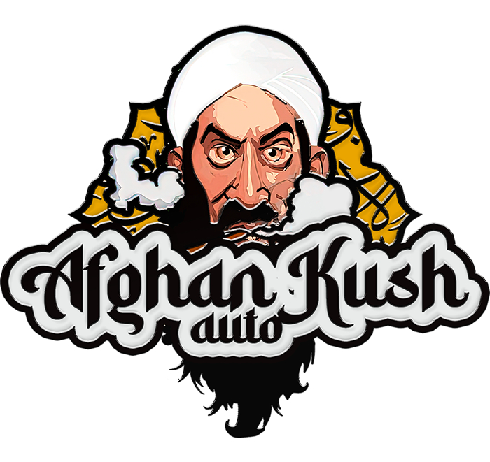 420 Fast Buds Cannabissamen Afghan Kush Automatic 420 Fast Buds Cannabissamen Afghan Kush Automatic