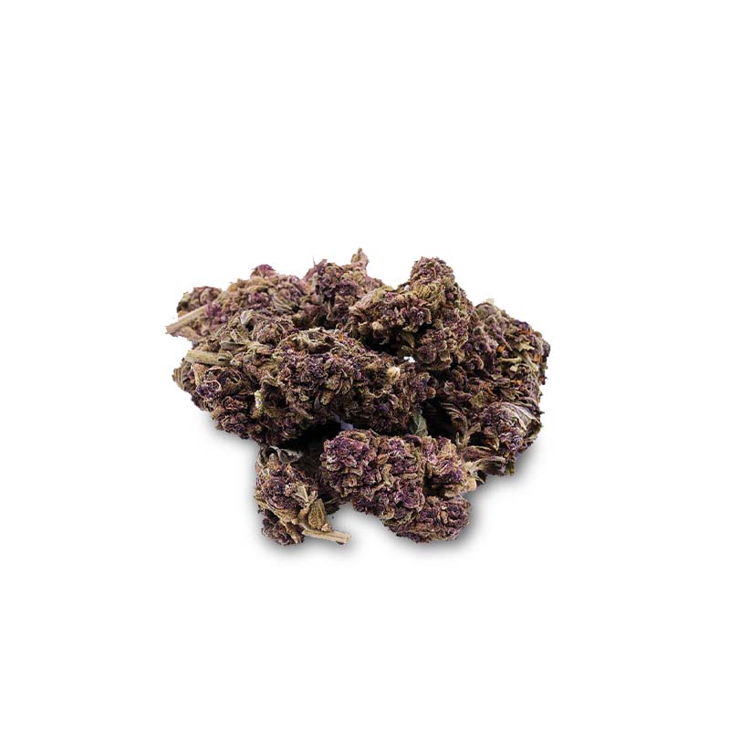 I Love Pot CBD Blüte - Purple Haze 4% 1g