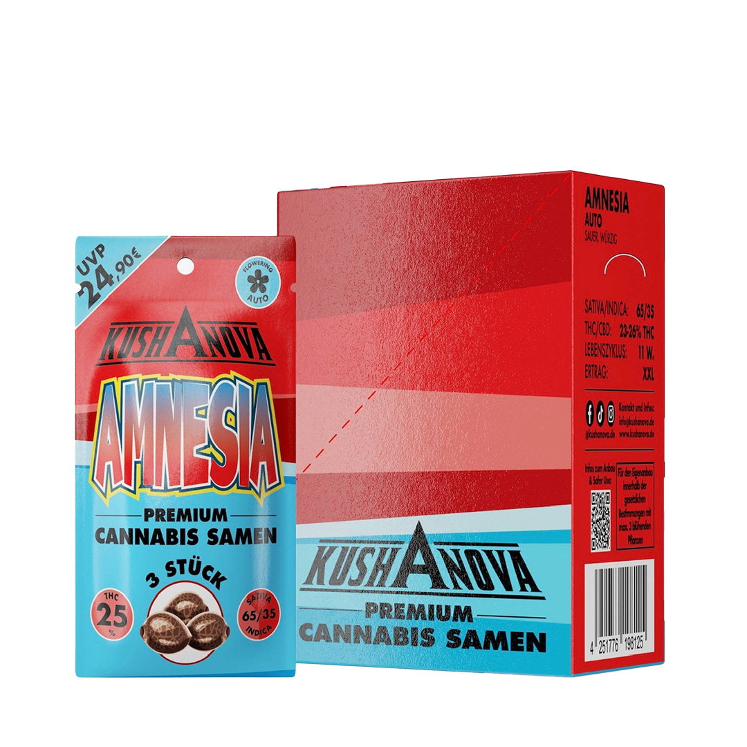 Kushanova Cannabissamen Amnesia Kushanova Cannabissamen Amnesia