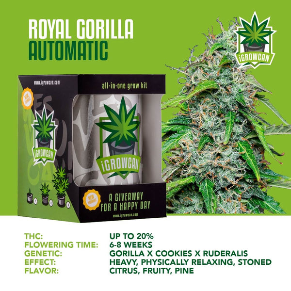 Igrowcan Samenset Royal Gorilla Automatic Igrowcan Samenset Royal Gorilla Automatic